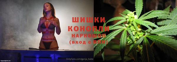дживик Чердынь