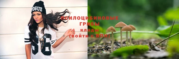 СК Чегем