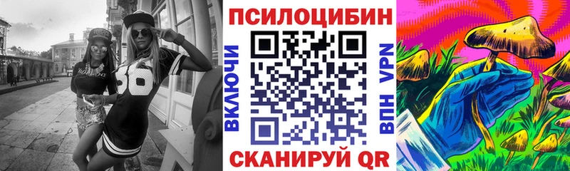 ОМГ ОМГ вход  Улан-Удэ  Галлюциногенные грибы прущие грибы 